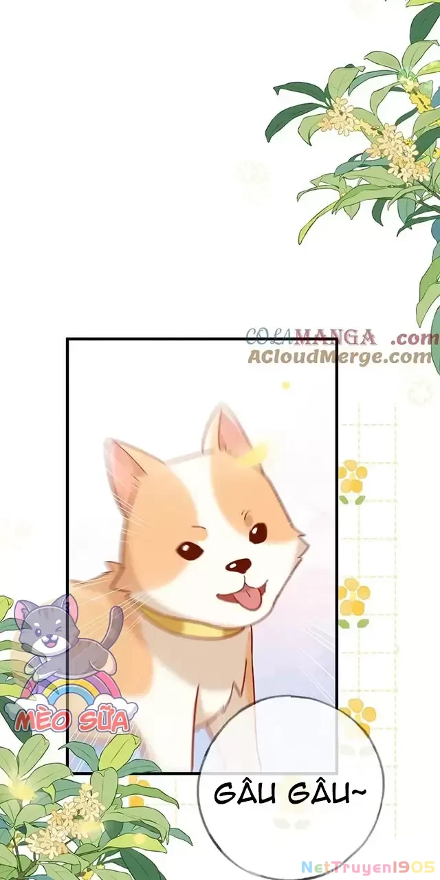 Bạch Nguyệt Quang Luôn Muốn Độc Chiếm Tôi Chapter 98 - Trang 32
