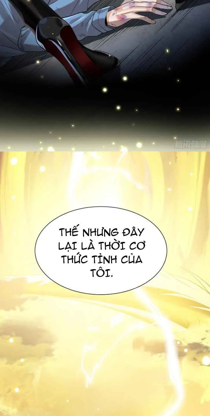 Bạch Phú Mỹ Lão Bà Của Ta Chapter 1 - Trang 11