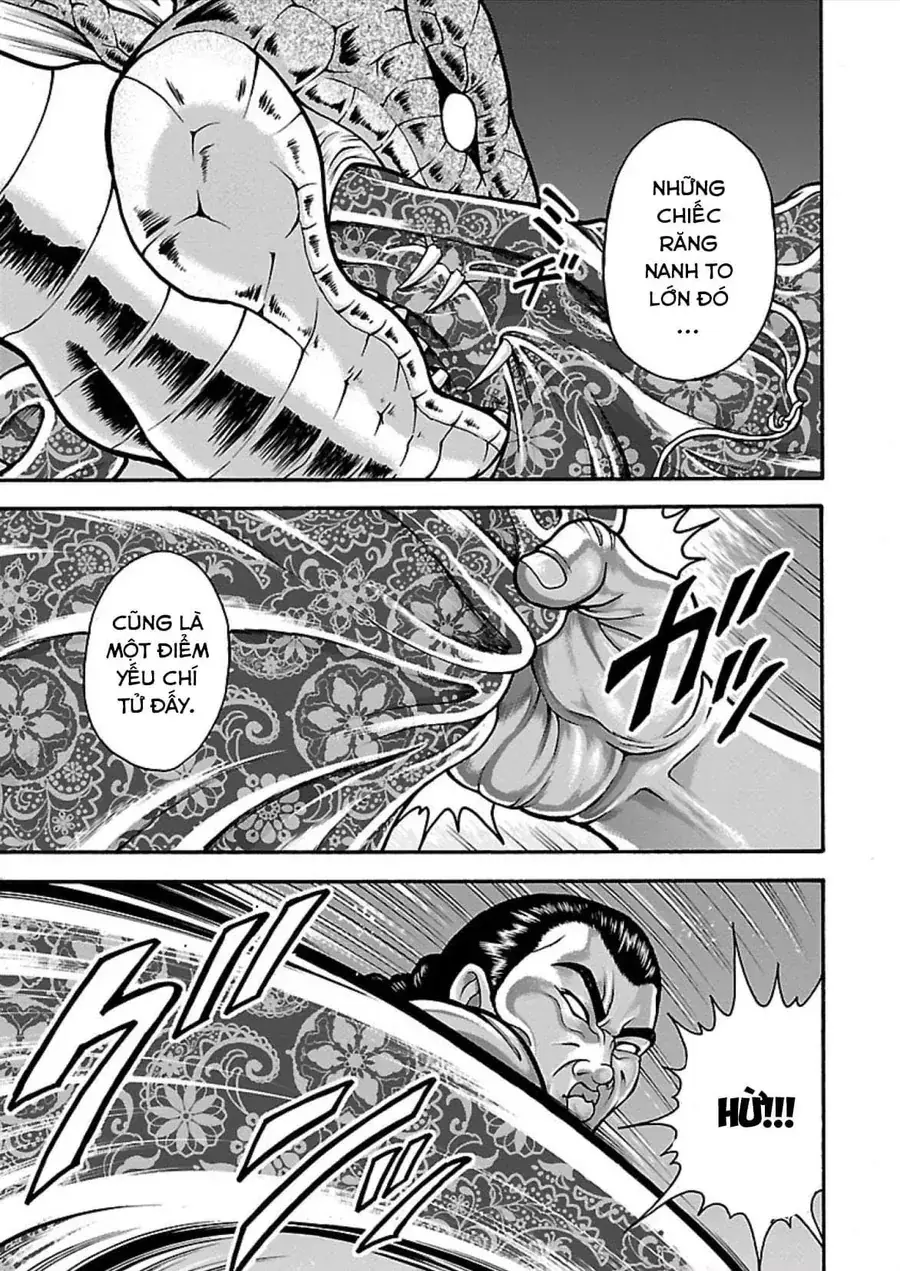 Baki Gaiden: Retsu Kaiou Wa Isekai Tensei Shitemo Ikkamawankou Ni Chapter 12 - Trang 14