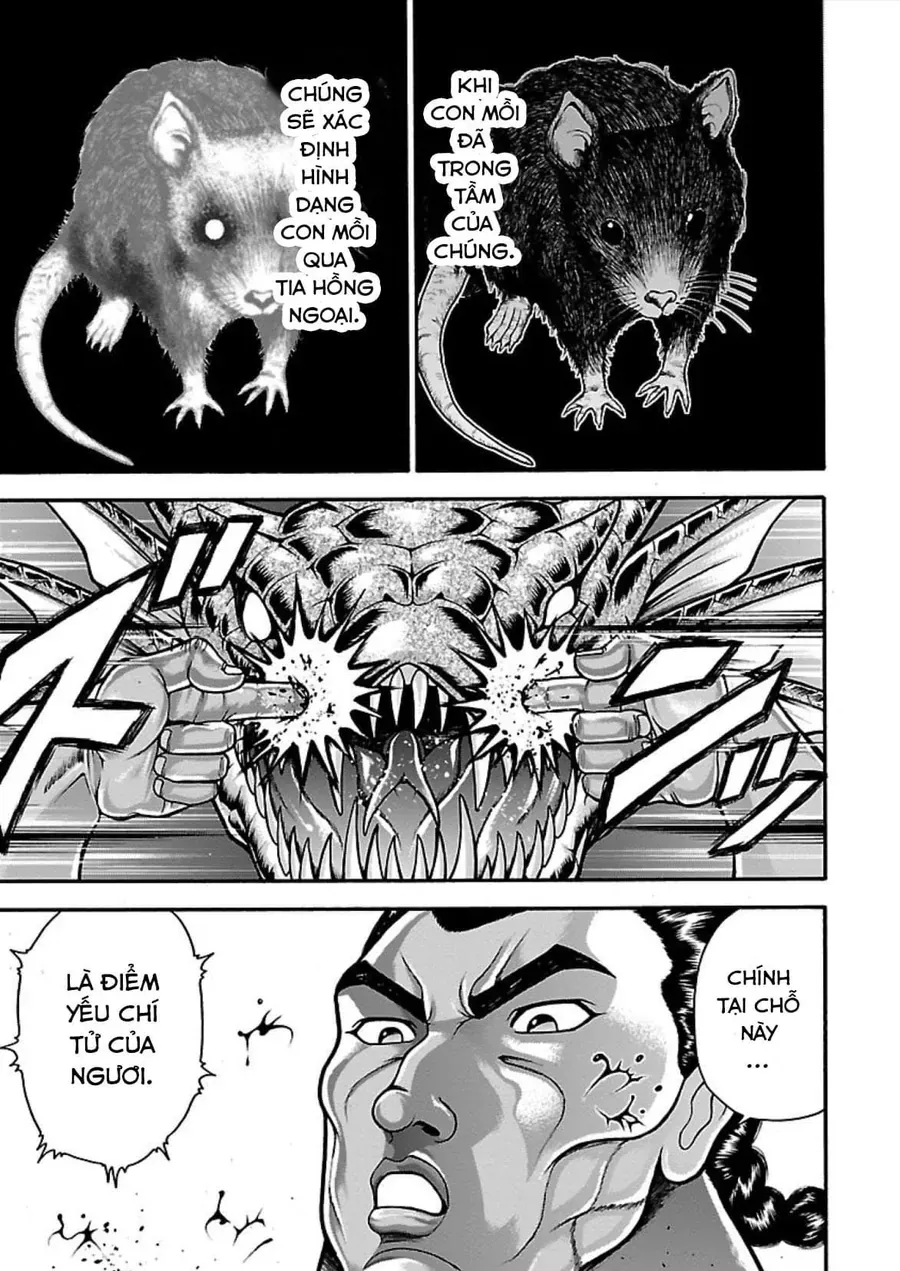 Baki Gaiden: Retsu Kaiou Wa Isekai Tensei Shitemo Ikkamawankou Ni Chapter 13 - Trang 4