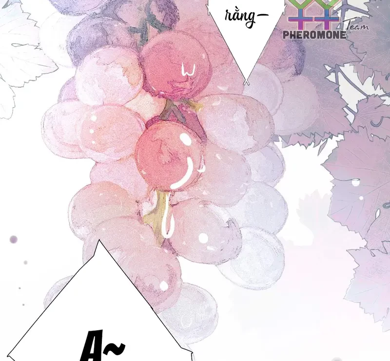 Ban Cho Tôi Nụ Hôn Của Em Chapter 1 - Trang 26