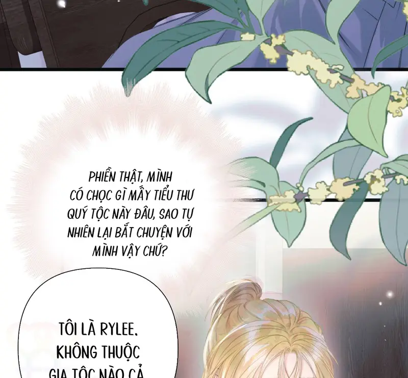 Ban Cho Tôi Nụ Hôn Của Em Chapter 11 - Trang 15