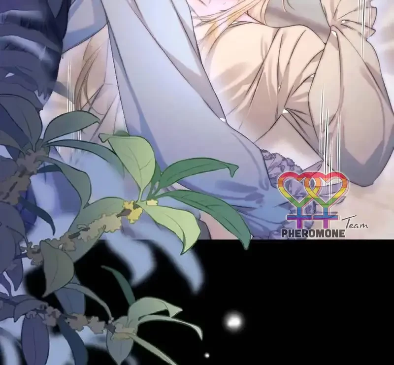 Ban Cho Tôi Nụ Hôn Của Em Chapter 15 - Trang 43