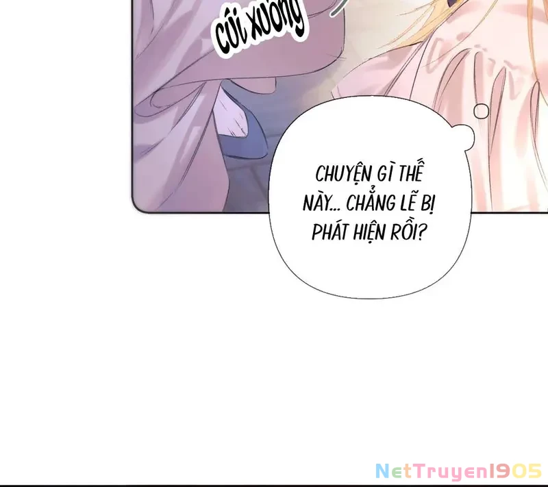 Ban Cho Tôi Nụ Hôn Của Em Chapter 2 - Trang 8