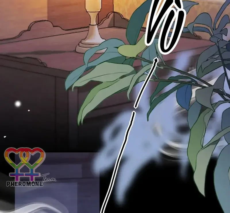 Ban Cho Tôi Nụ Hôn Của Em Chapter 22 - Trang 34
