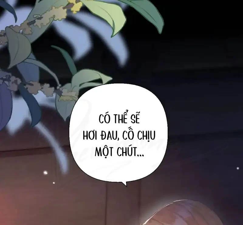 Ban Cho Tôi Nụ Hôn Của Em Chapter 26 - Trang 15