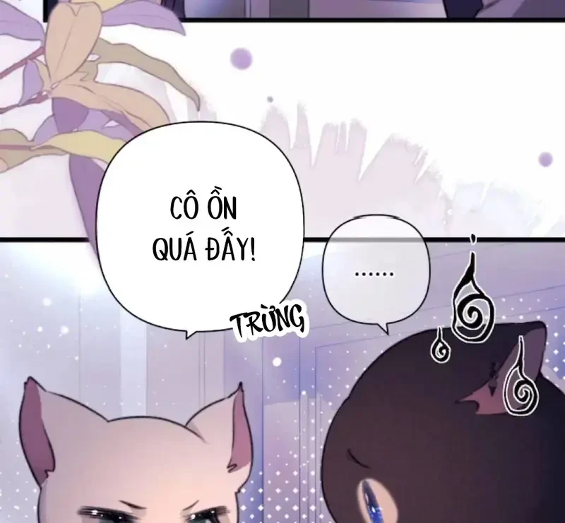 Ban Cho Tôi Nụ Hôn Của Em Chapter 29 - Trang 22