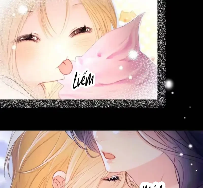 Ban Cho Tôi Nụ Hôn Của Em Chapter 33 - Trang 12