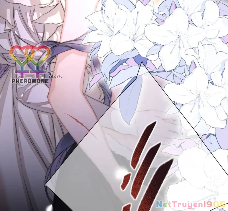 Ban Cho Tôi Nụ Hôn Của Em Chapter 4 - Trang 12