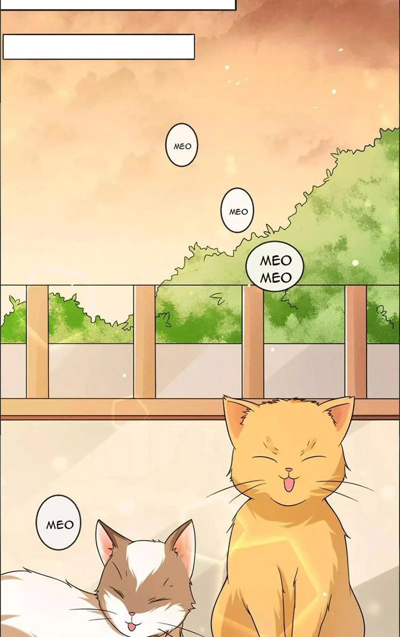 Bạn Cùng Bàn Của Tôi Nổi Tiếng Là Mèo Chapter 1 - Trang 26