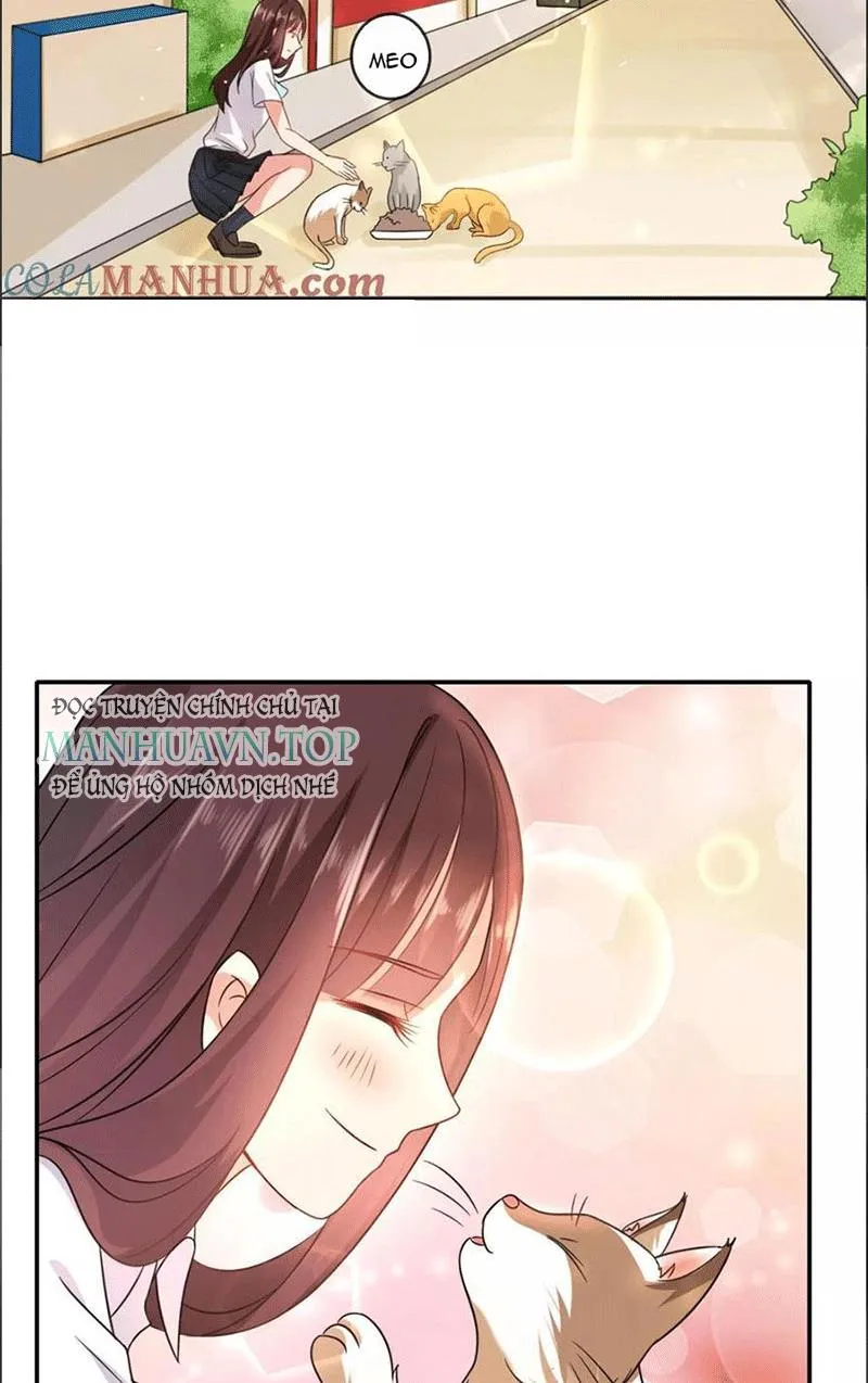 Bạn Cùng Bàn Của Tôi Nổi Tiếng Là Mèo Chapter 1 - Trang 28