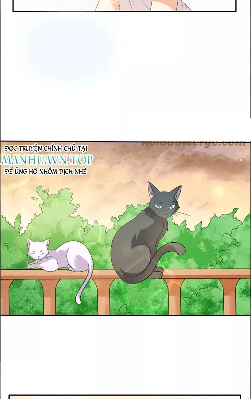 Bạn Cùng Bàn Của Tôi Nổi Tiếng Là Mèo Chapter 1 - Trang 31