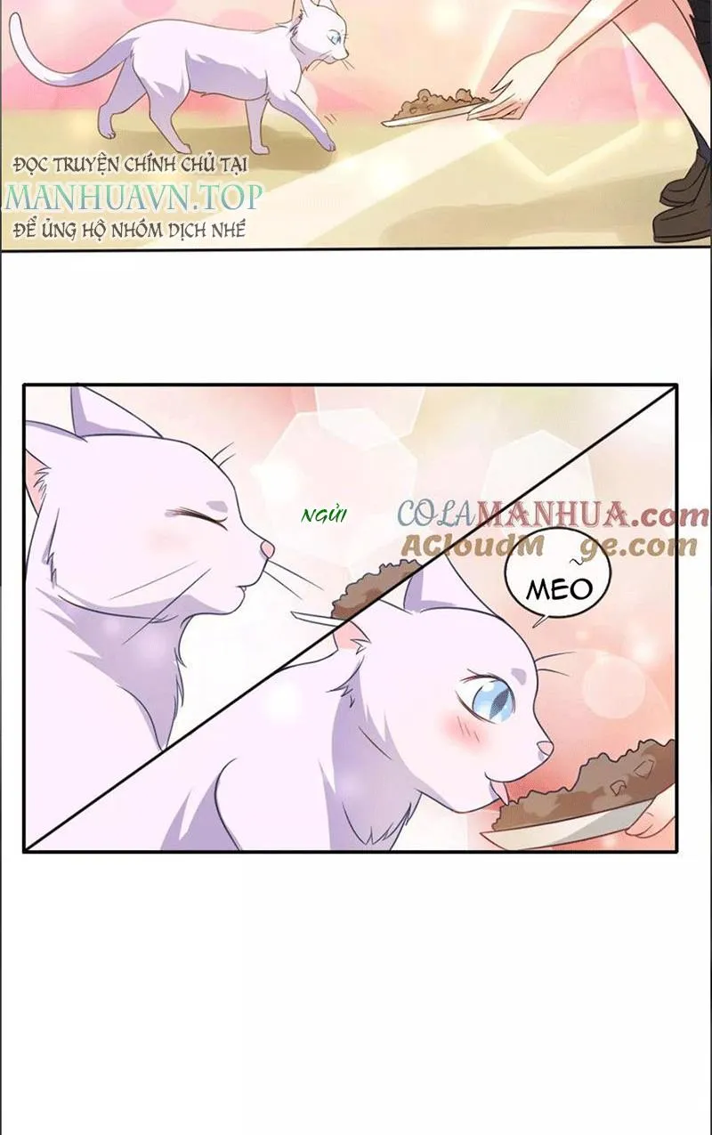 Bạn Cùng Bàn Của Tôi Nổi Tiếng Là Mèo Chapter 1 - Trang 34