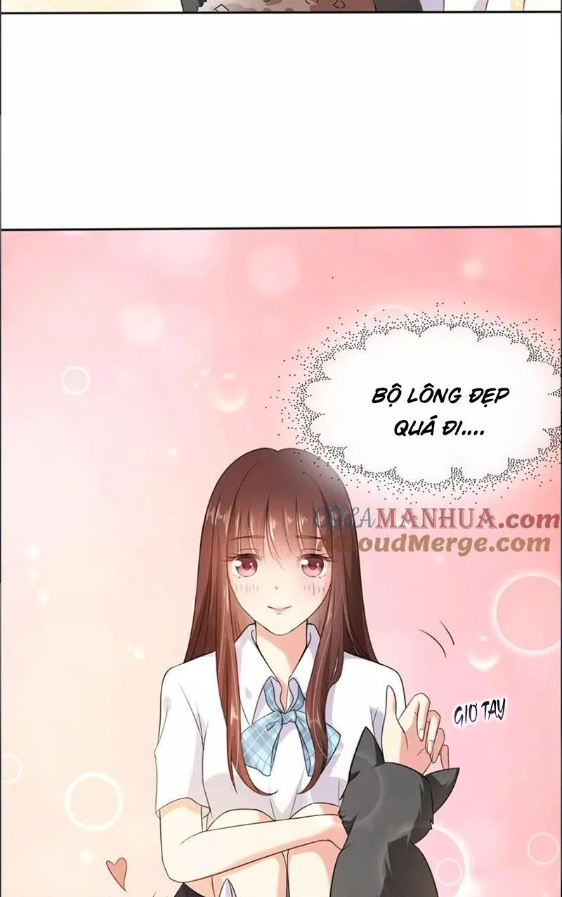 Bạn Cùng Bàn Của Tôi Nổi Tiếng Là Mèo Chapter 1 - Trang 37
