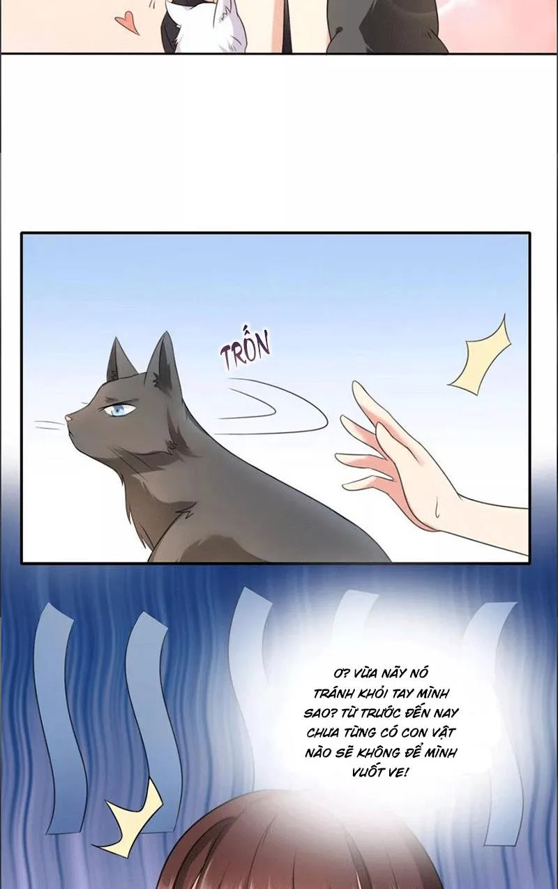 Bạn Cùng Bàn Của Tôi Nổi Tiếng Là Mèo Chapter 1 - Trang 38