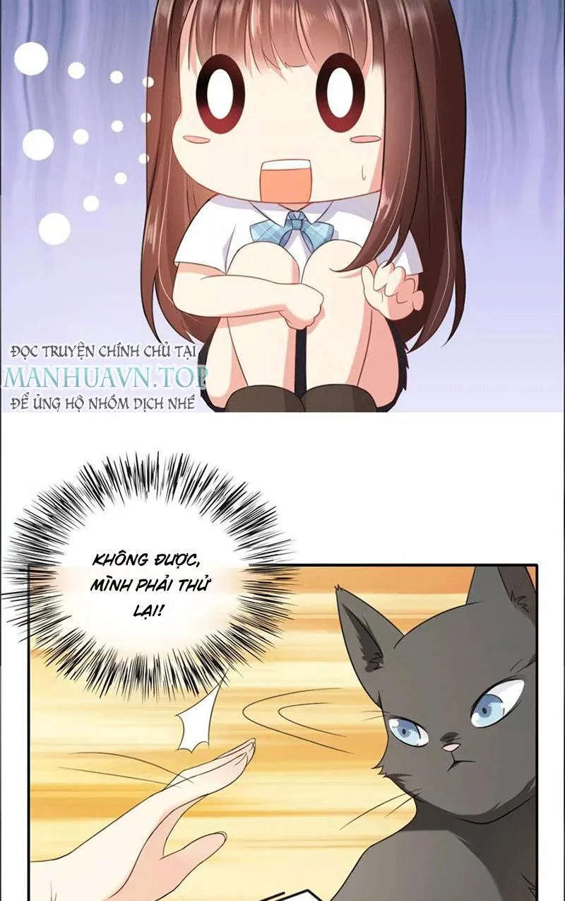 Bạn Cùng Bàn Của Tôi Nổi Tiếng Là Mèo Chapter 1 - Trang 39