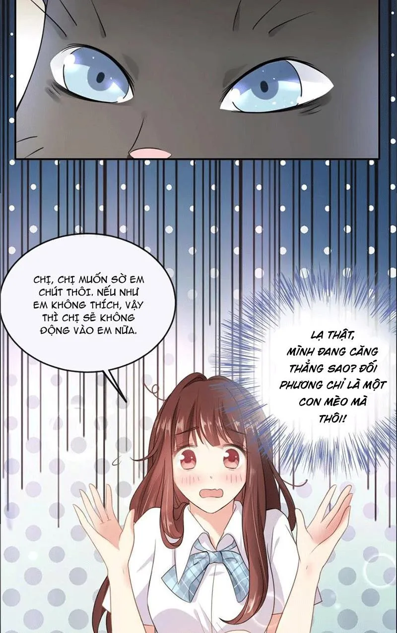 Bạn Cùng Bàn Của Tôi Nổi Tiếng Là Mèo Chapter 1 - Trang 41