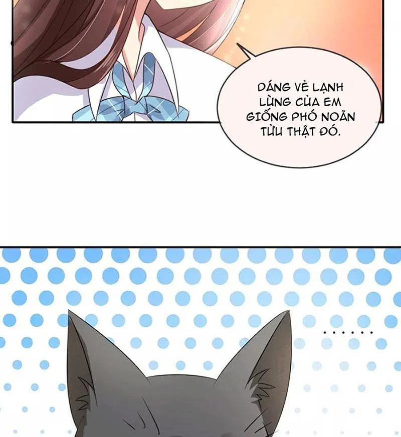 Bạn Cùng Bàn Của Tôi Nổi Tiếng Là Mèo Chapter 1 - Trang 48