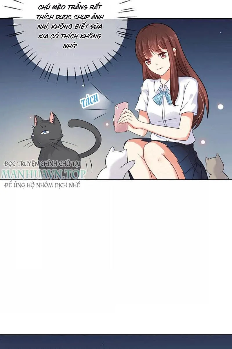 Bạn Cùng Bàn Của Tôi Nổi Tiếng Là Mèo Chapter 3 - Trang 10