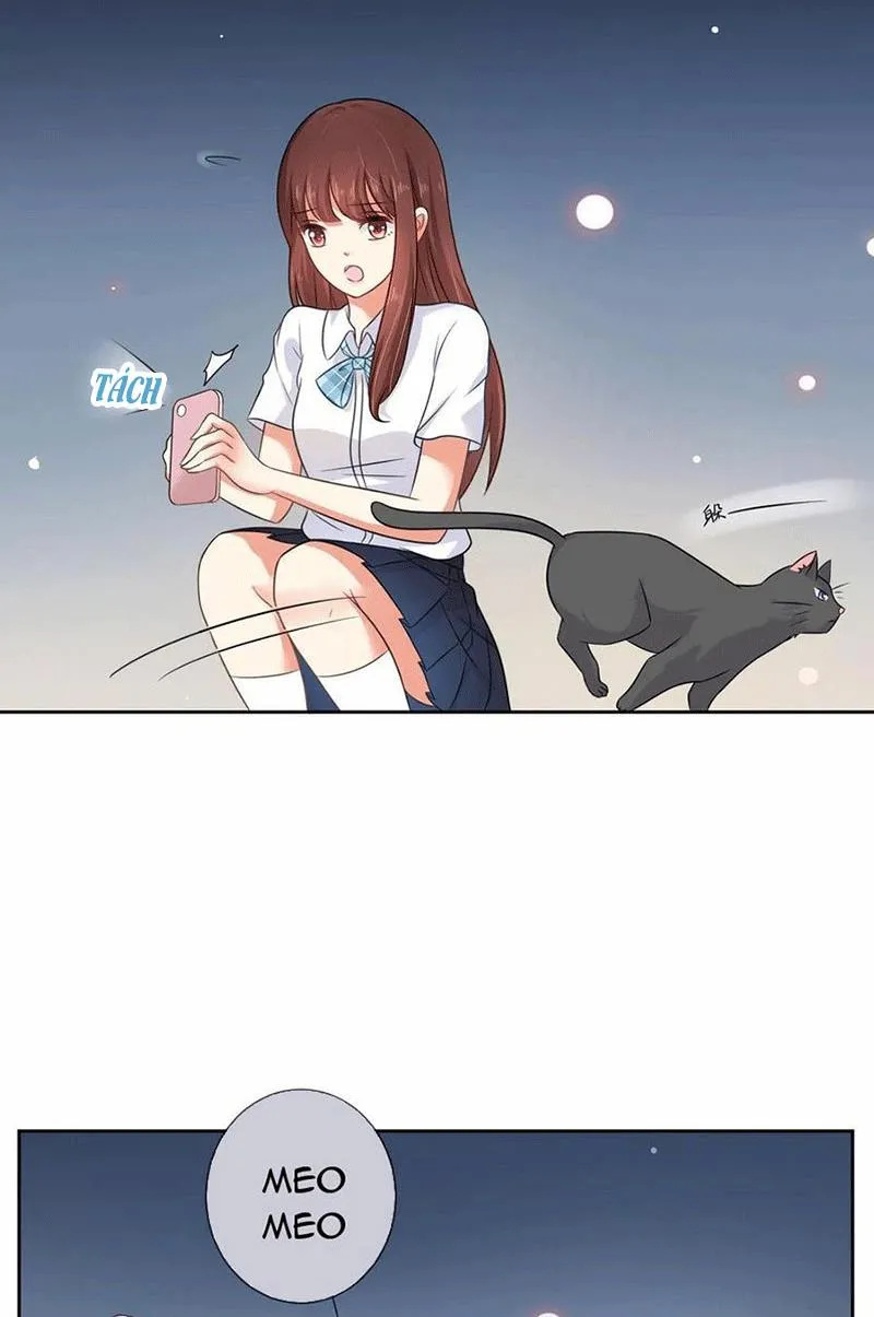 Bạn Cùng Bàn Của Tôi Nổi Tiếng Là Mèo Chapter 3 - Trang 11