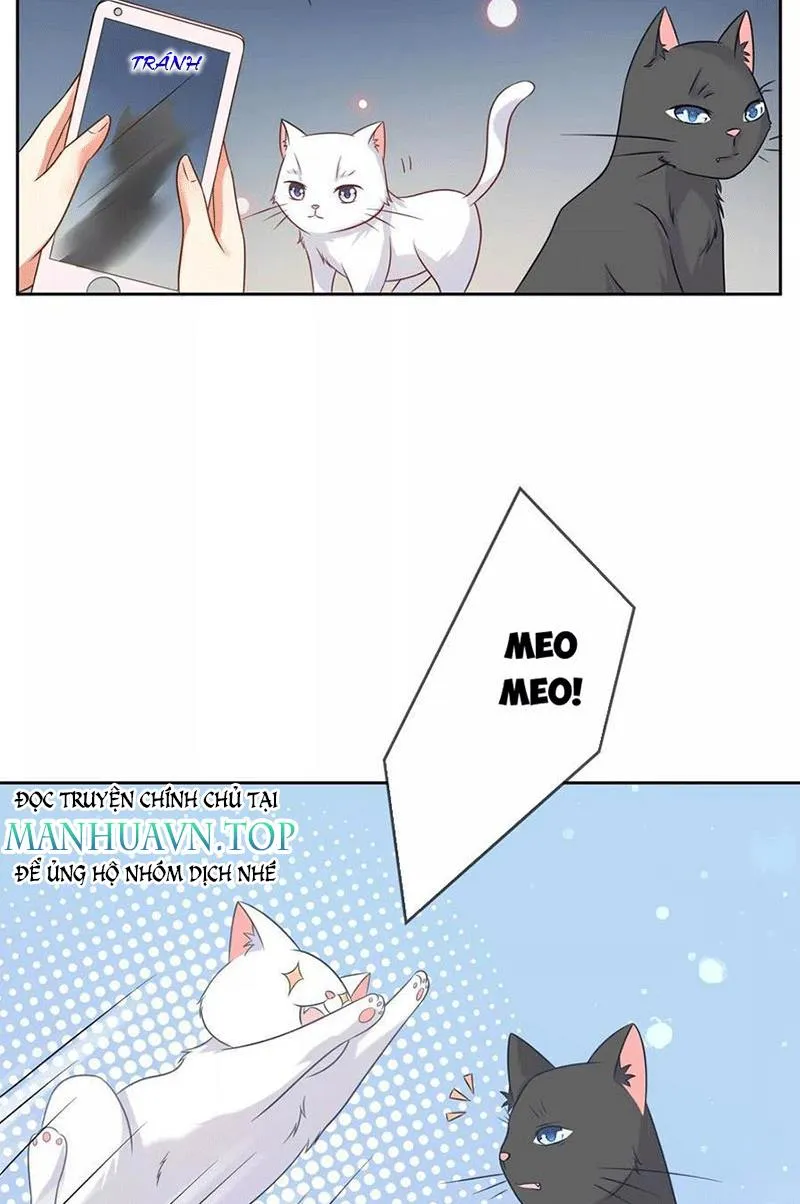 Bạn Cùng Bàn Của Tôi Nổi Tiếng Là Mèo Chapter 3 - Trang 12