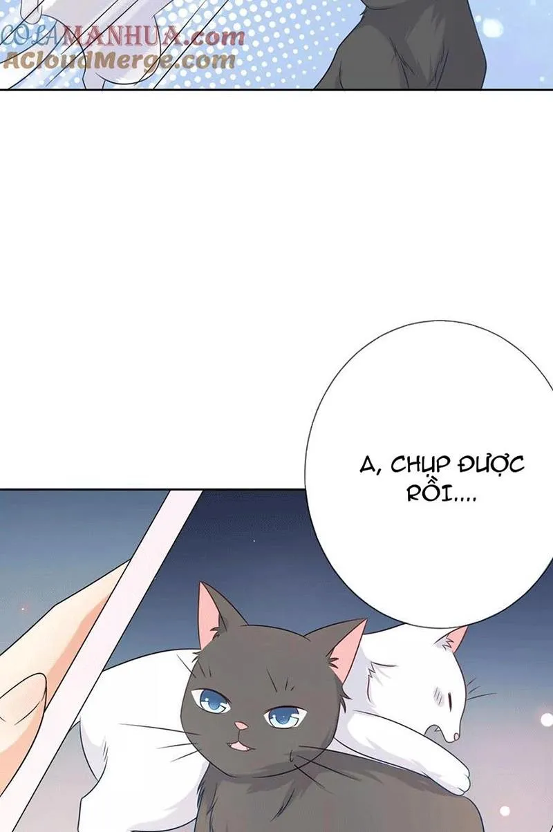 Bạn Cùng Bàn Của Tôi Nổi Tiếng Là Mèo Chapter 3 - Trang 13