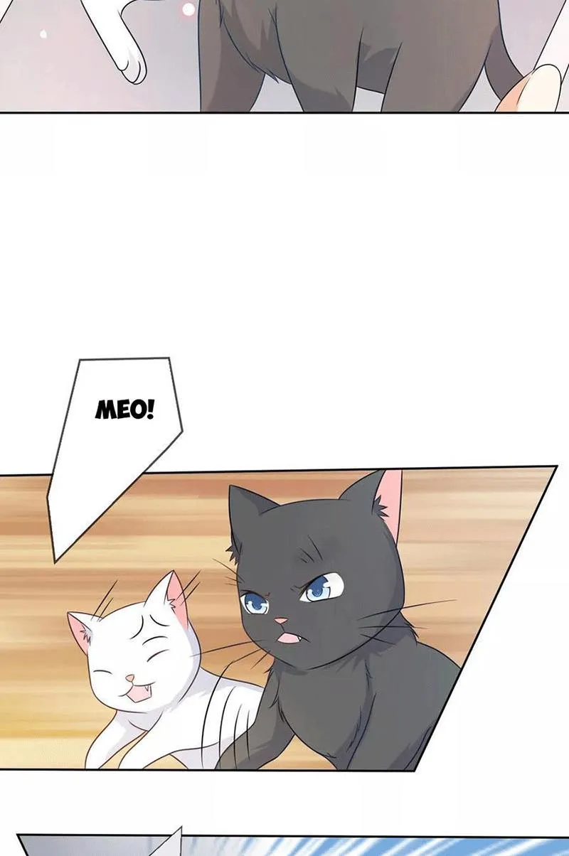 Bạn Cùng Bàn Của Tôi Nổi Tiếng Là Mèo Chapter 3 - Trang 14
