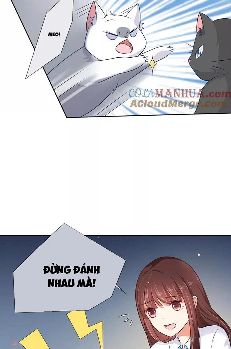 Bạn Cùng Bàn Của Tôi Nổi Tiếng Là Mèo Chapter 3 - Trang 15