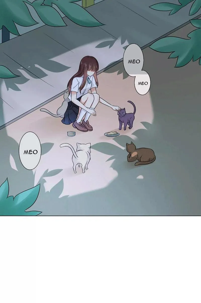Bạn Cùng Bàn Của Tôi Nổi Tiếng Là Mèo Chapter 3 - Trang 2