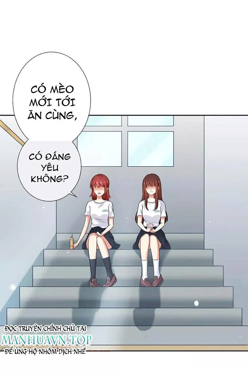 Bạn Cùng Bàn Của Tôi Nổi Tiếng Là Mèo Chapter 3 - Trang 21