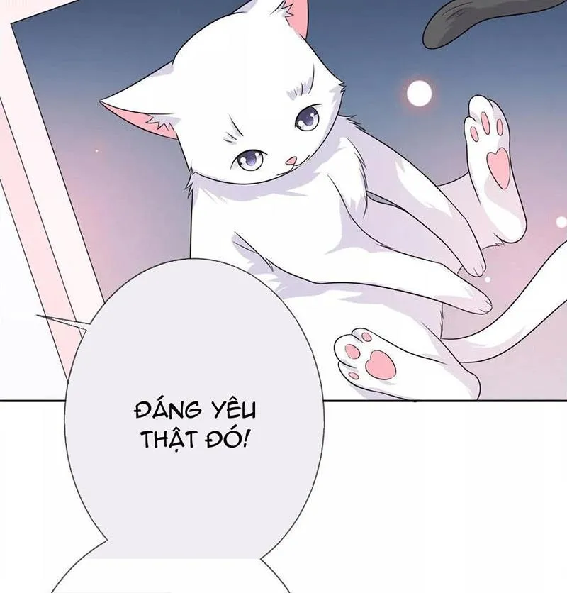 Bạn Cùng Bàn Của Tôi Nổi Tiếng Là Mèo Chapter 3 - Trang 24