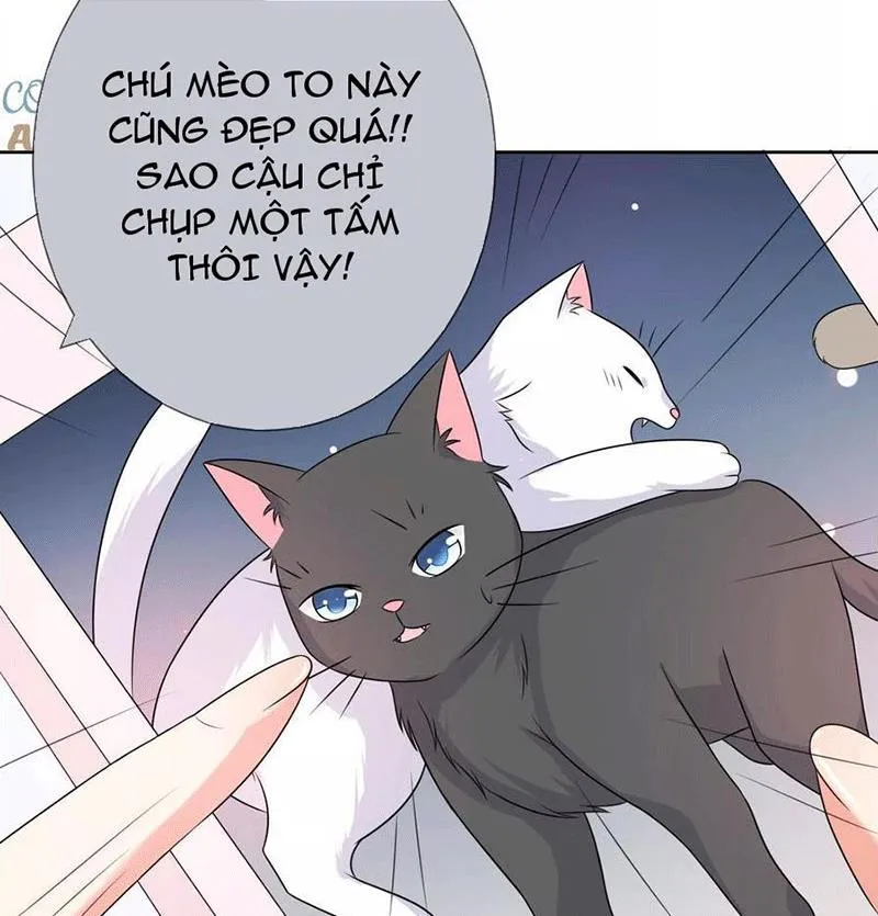 Bạn Cùng Bàn Của Tôi Nổi Tiếng Là Mèo Chapter 3 - Trang 25