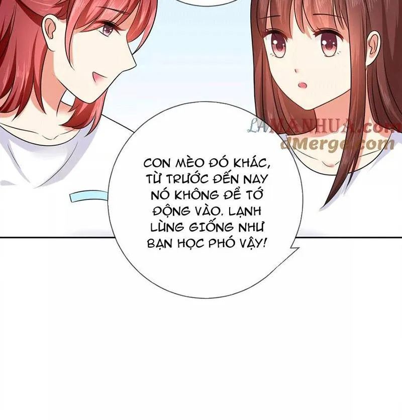 Bạn Cùng Bàn Của Tôi Nổi Tiếng Là Mèo Chapter 3 - Trang 28