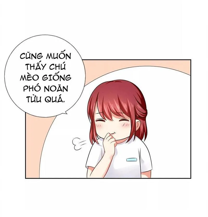 Bạn Cùng Bàn Của Tôi Nổi Tiếng Là Mèo Chapter 3 - Trang 29