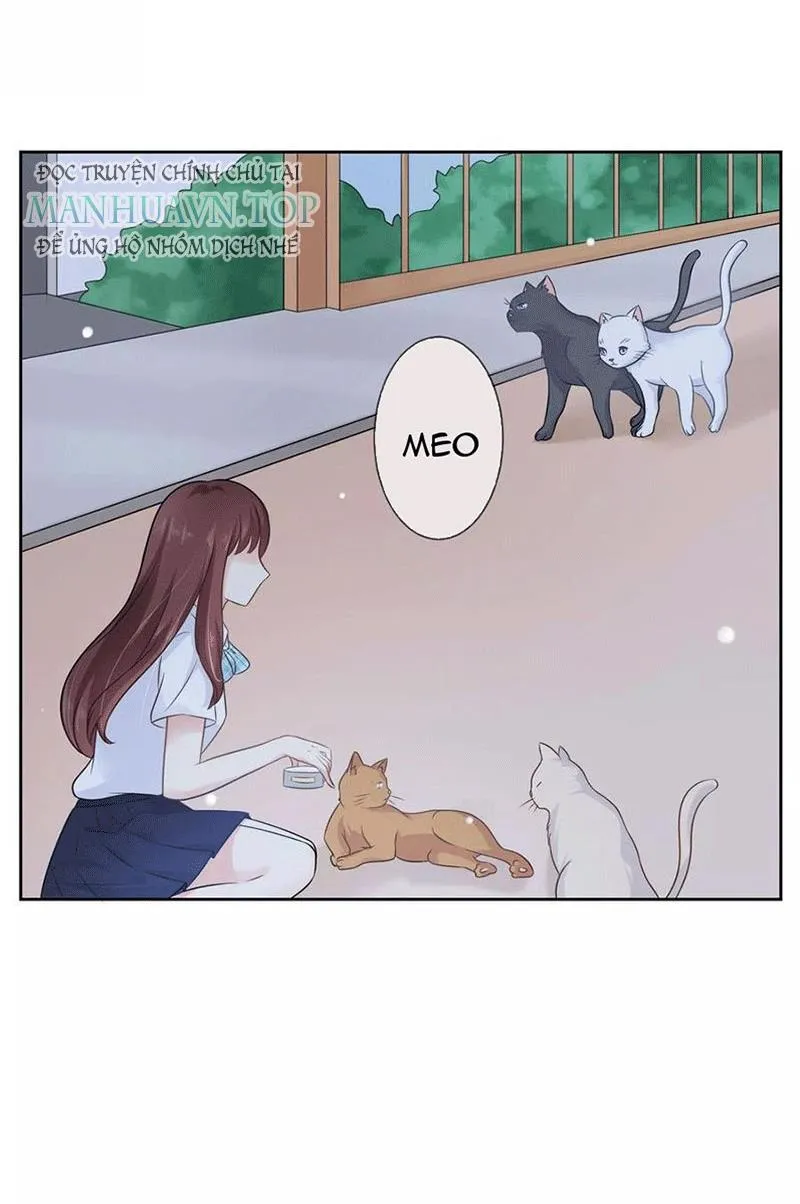 Bạn Cùng Bàn Của Tôi Nổi Tiếng Là Mèo Chapter 3 - Trang 3