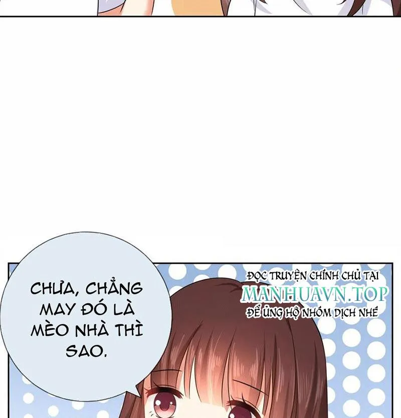 Bạn Cùng Bàn Của Tôi Nổi Tiếng Là Mèo Chapter 3 - Trang 31