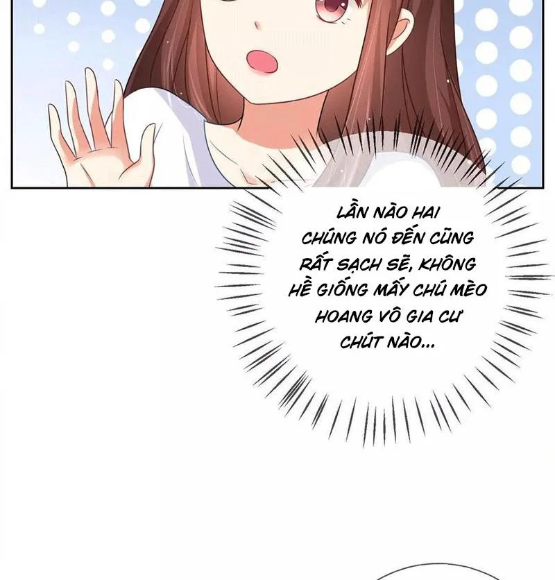 Bạn Cùng Bàn Của Tôi Nổi Tiếng Là Mèo Chapter 3 - Trang 32