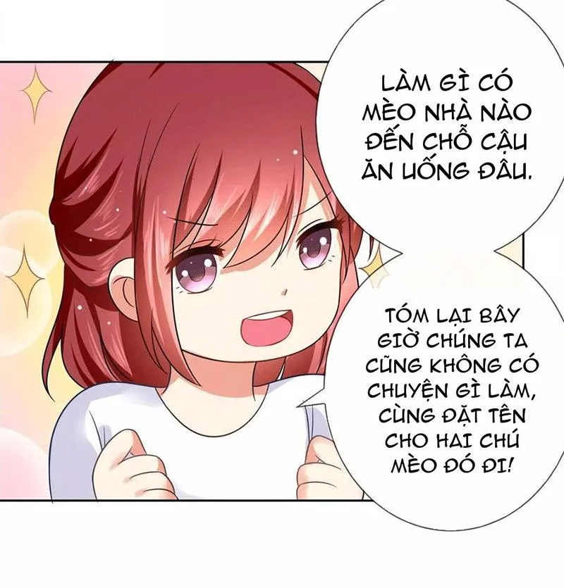 Bạn Cùng Bàn Của Tôi Nổi Tiếng Là Mèo Chapter 3 - Trang 33