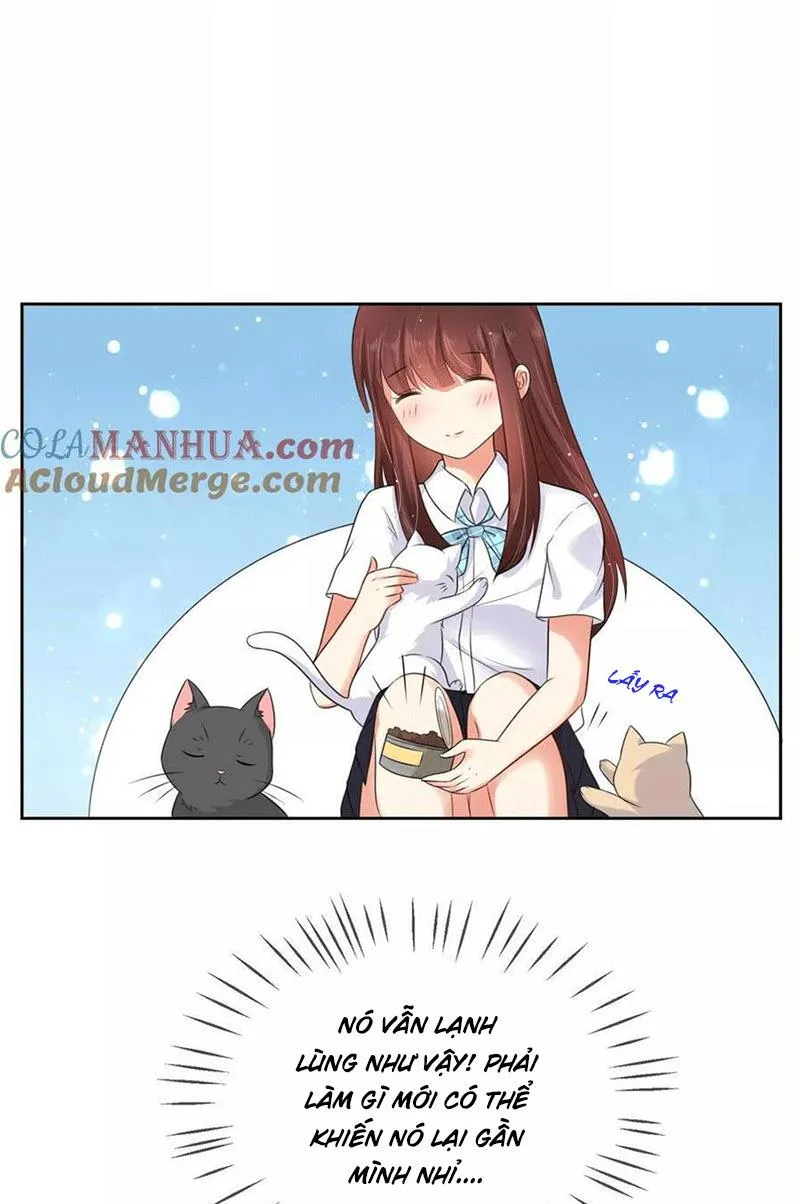 Bạn Cùng Bàn Của Tôi Nổi Tiếng Là Mèo Chapter 3 - Trang 6