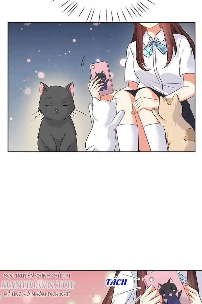 Bạn Cùng Bàn Của Tôi Nổi Tiếng Là Mèo Chapter 3 - Trang 7