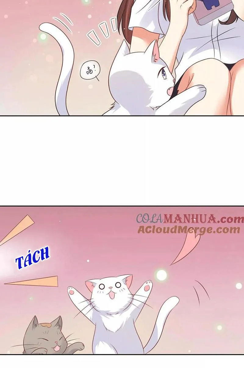 Bạn Cùng Bàn Của Tôi Nổi Tiếng Là Mèo Chapter 3 - Trang 8