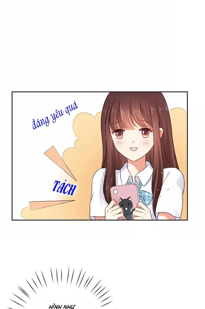 Bạn Cùng Bàn Của Tôi Nổi Tiếng Là Mèo Chapter 3 - Trang 9