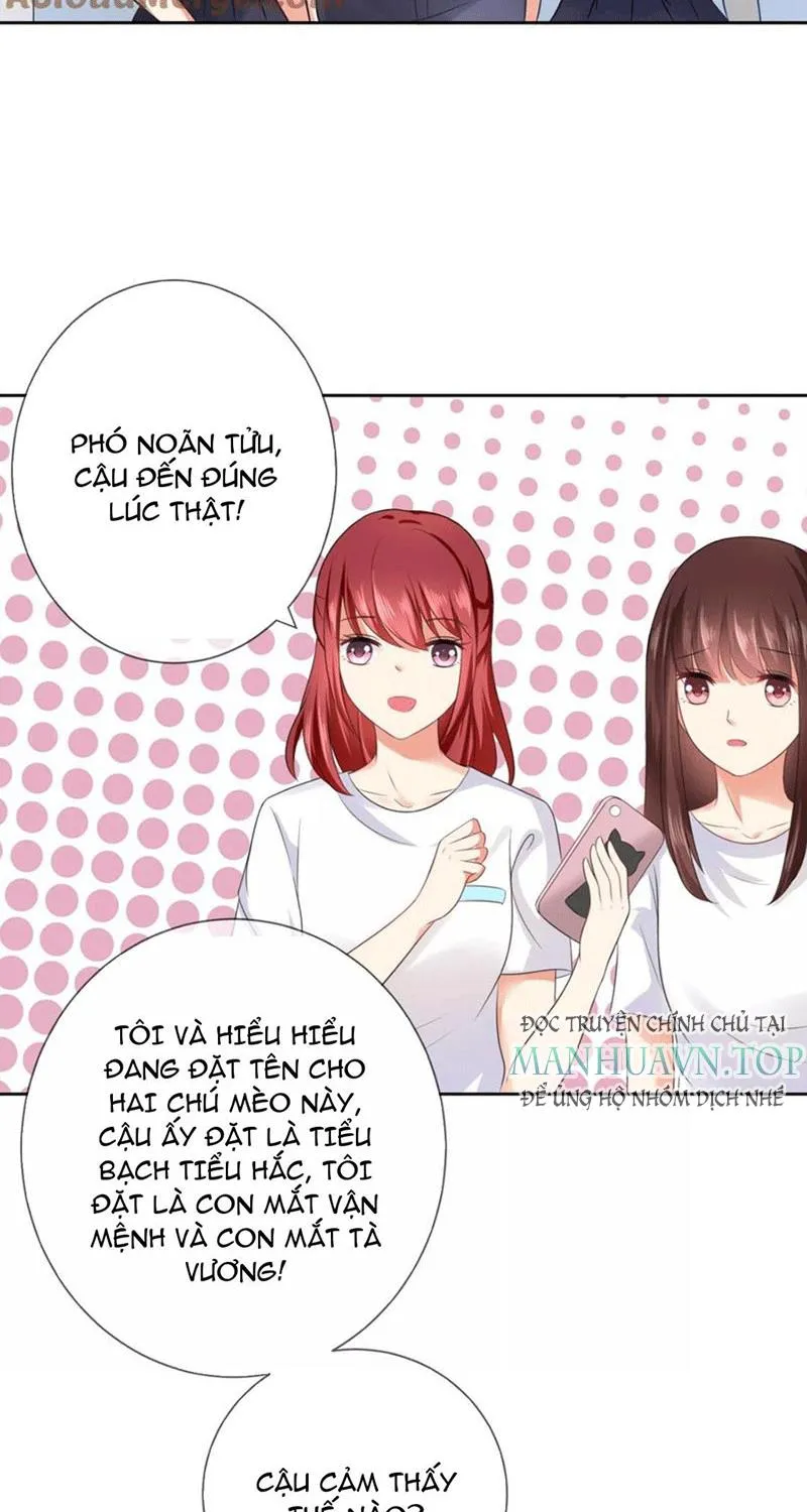 Bạn Cùng Bàn Của Tôi Nổi Tiếng Là Mèo Chapter 4 - Trang 12