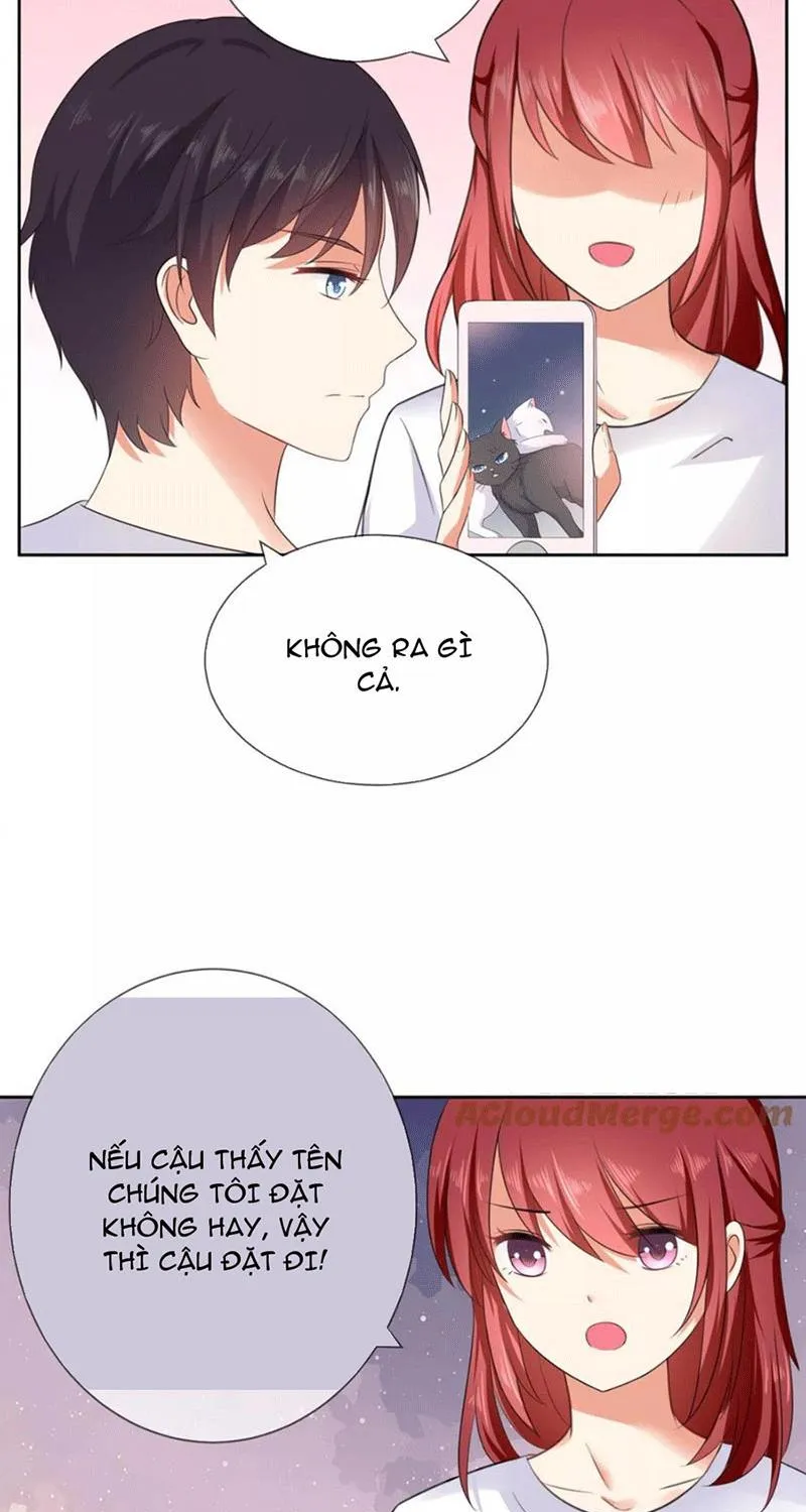 Bạn Cùng Bàn Của Tôi Nổi Tiếng Là Mèo Chapter 4 - Trang 14