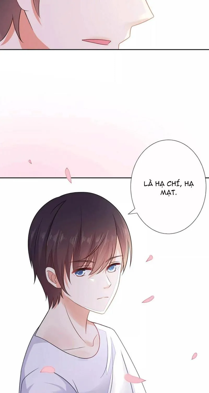 Bạn Cùng Bàn Của Tôi Nổi Tiếng Là Mèo Chapter 4 - Trang 20