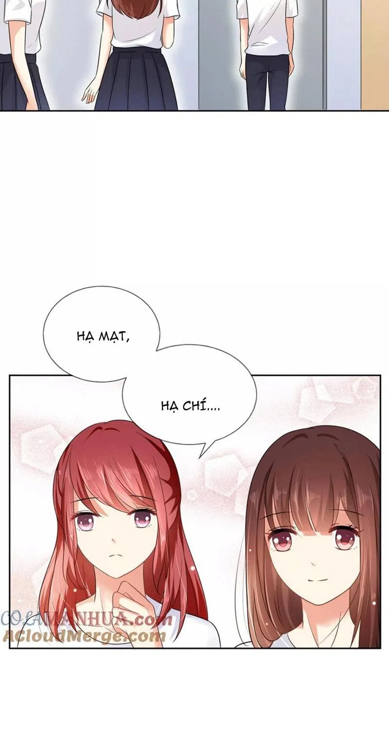 Bạn Cùng Bàn Của Tôi Nổi Tiếng Là Mèo Chapter 4 - Trang 24