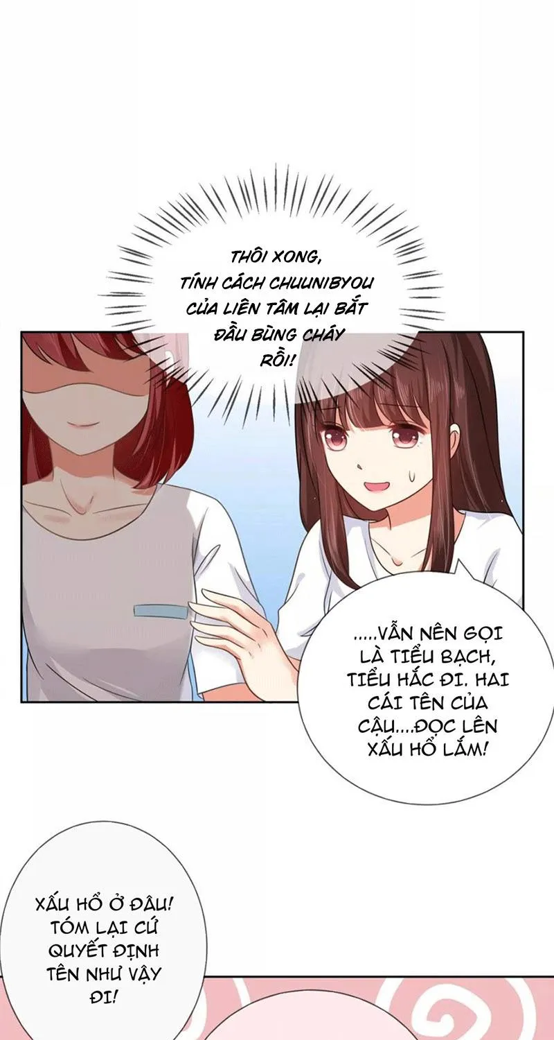 Bạn Cùng Bàn Của Tôi Nổi Tiếng Là Mèo Chapter 4 - Trang 6