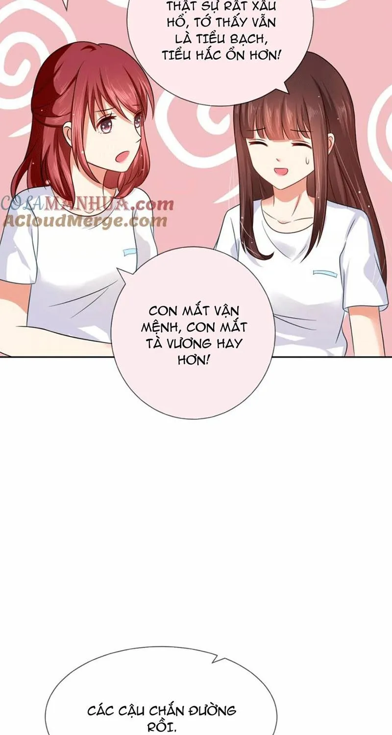 Bạn Cùng Bàn Của Tôi Nổi Tiếng Là Mèo Chapter 4 - Trang 8