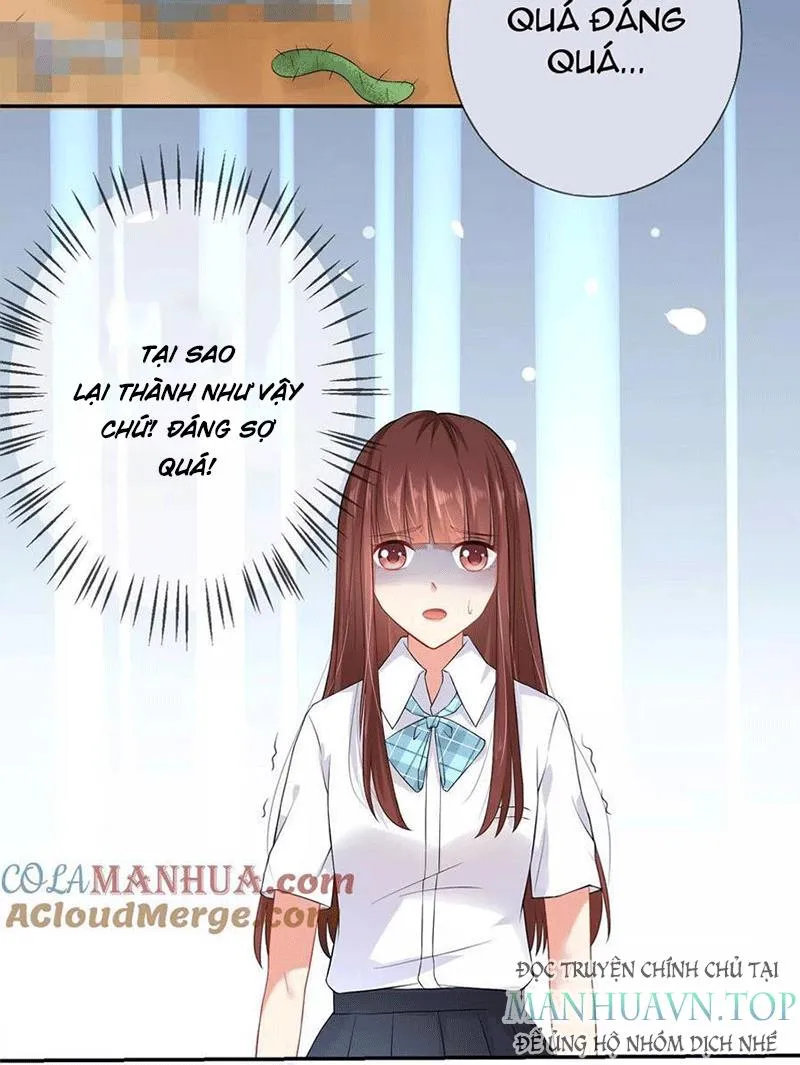 Bạn Cùng Bàn Của Tôi Nổi Tiếng Là Mèo Chapter 5 - Trang 11