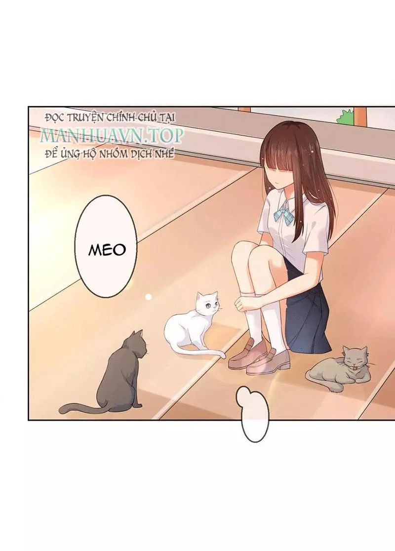 Bạn Cùng Bàn Của Tôi Nổi Tiếng Là Mèo Chapter 5 - Trang 37